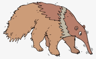 Anteater #6602497