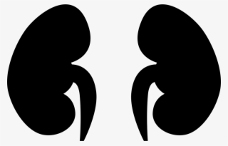 Png File Svg #6604971