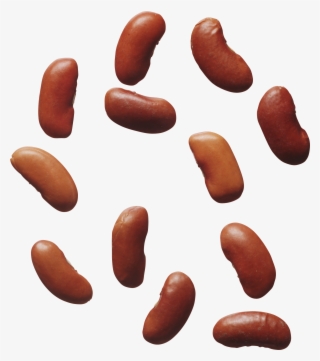 Kidney Png #6605075 Kidney Png #6605075