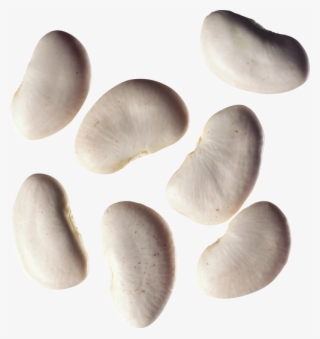 Kidney Beans Png, Download Png Image With Transparent #6605660