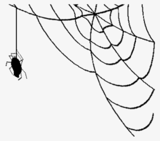 Corner Spider Web Png #6607404