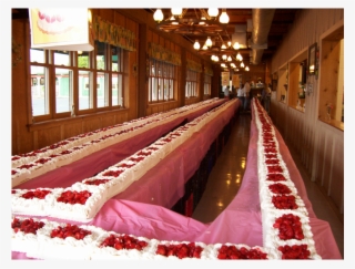 Bottom 3 Button Eoffers #6607604