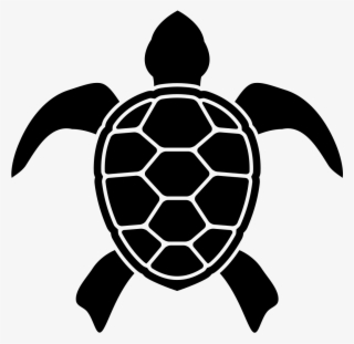 Turtle Silhouette Png #6609009