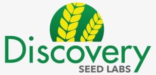 Discovery Png #6609383