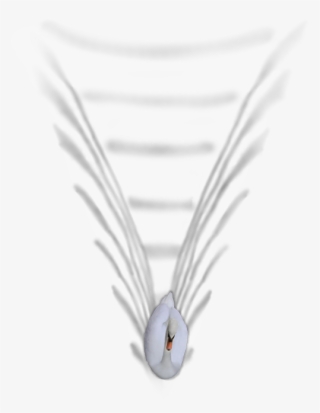 24 Mar 2009 #6612304