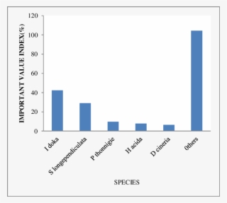 Important Dominants Woody Species In The Disturbed #6616142