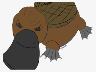 Manatee Clipart Platypus #6616307