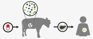 It Is Estimated That By 2050, 10 Million People Will #6616493