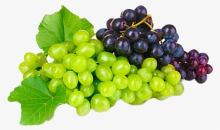 Grapevine #6620089
