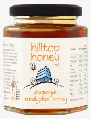 Hilltop Uruguayan Eucalyptus Honey #6622497