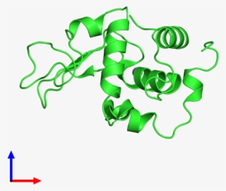 Ribbon Structure Of 1inu #6622499 Ribbon Structure Of 1inu #6622499