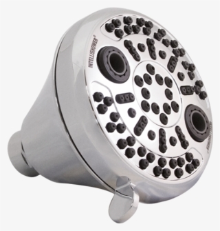 Intellishower® Showerhead #6622915