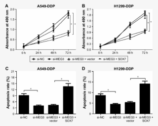 Meg3 Knockdown Increased Ddp Resistance Of Ddp Resistant #6623699