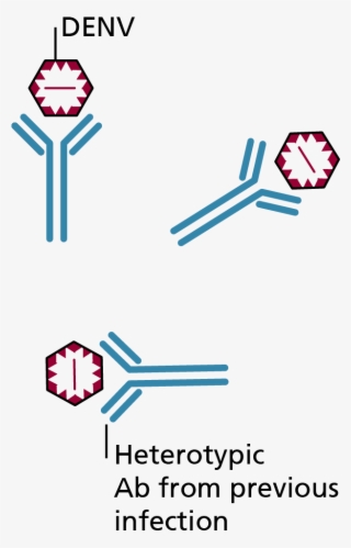 06 Pm 821 Clinical Manifestation #6625046
