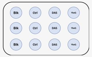 Blank , 'ctrl' #6625195