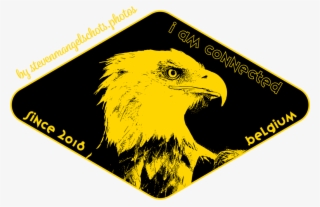 Eagel I Am Connected #6627380