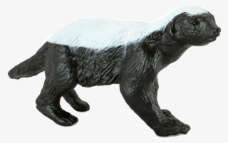Badger Png #6627668