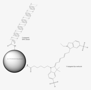 538 Gene Delivery #6628945