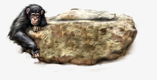 Orangutan Png Picture #6629087