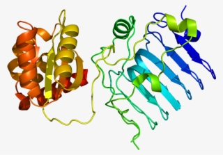 Gene Png #6629315