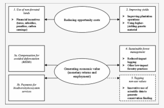 Strategies For Orangutan Conservation And Mechanisms #6629368