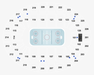 Reading Royals Png #6630598