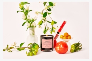Gardener Png #6633704