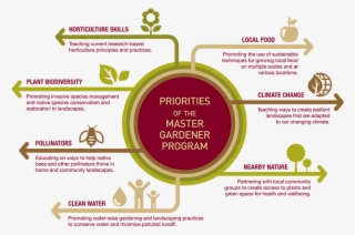 Graphic Chart Listing The Seven Priorities Of The Master #6633962