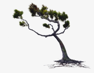 Blowing Wind Png #6634330