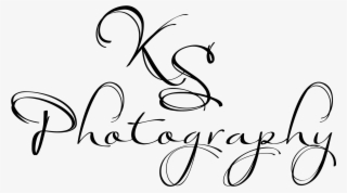 Photographer Logo Png #6635004