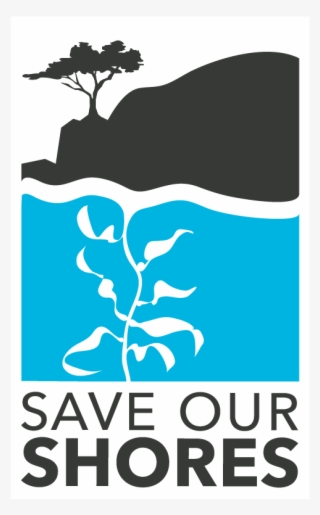 City Calendar #6635149