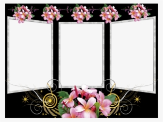 Photoscape An Amazing Free Photo Editor With Lots Of #6635592