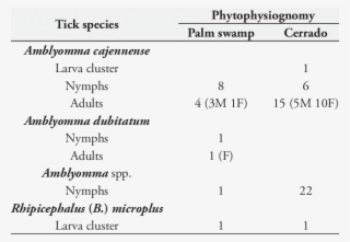 Ticks From Vegetation In The Reserve Of The Clube De #6636939