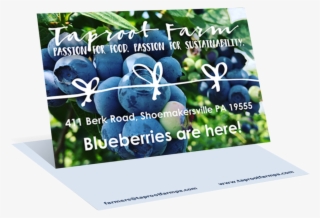 Postcards #6637297 Postcards #6637297