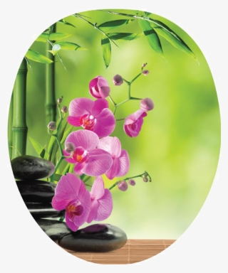 Pink Orchid Png #6637791
