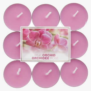 Pink Orchid Png #6638176