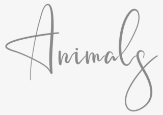 Animals-grey Mei Lin Barral Photography #6639389