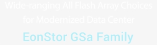 Infortrend Eonstor Gsa #6639495