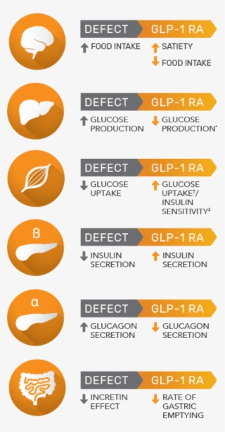 Diabetes Png #6641119