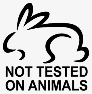 Hairdresser Townsville Hair Beauty #6642605