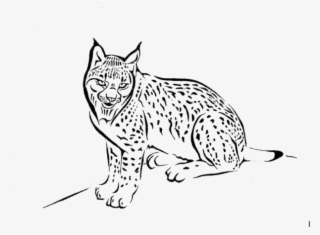 Wolf Icon Png #6643875