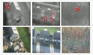 Here We Present A Novel Approach For The Real-time #6644967