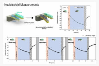 Nanomechanics Group Research Theme #6645619