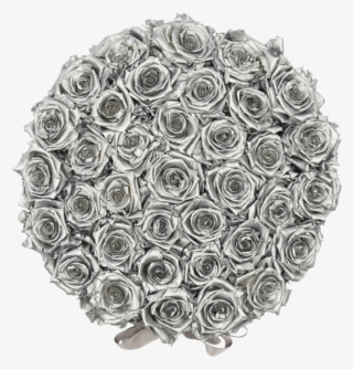 Transparent Orb Silver #6647420