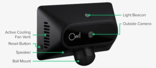 Owl Car Cam #6647523