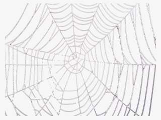 Drawn Spider Web Transparent Tumblr #6648348