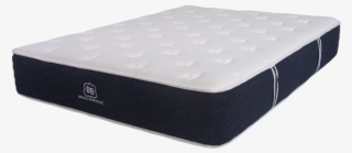 Brooklyn Signature Sideshot #6651299