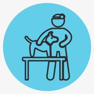 Total Solutions Icon Blue #6652453