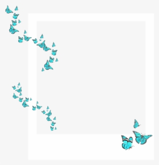 Polaroid Frame White Butterfly Butterflies Blue Spring #6665012