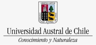 Marca-uach Png #6665253